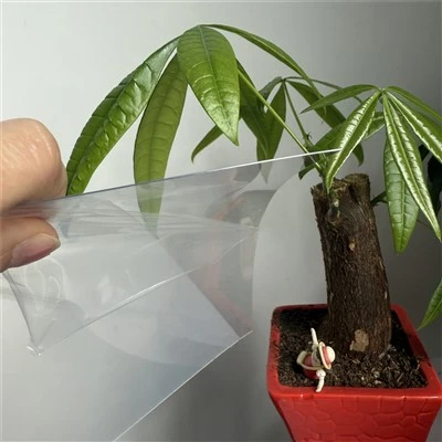Anti-fog PET Sheet